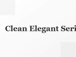 Clean Elegant Serif Fonts for Corporate Documents