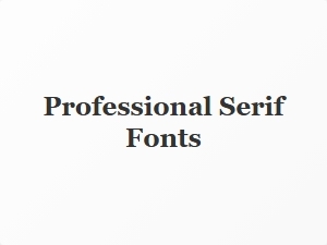 Elegant Serif Fonts for Professional Company Websites